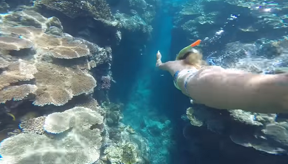 Sexy Girl,Beautiful Bikini Girl , The Great Barrier Reef,Fitzroy Island