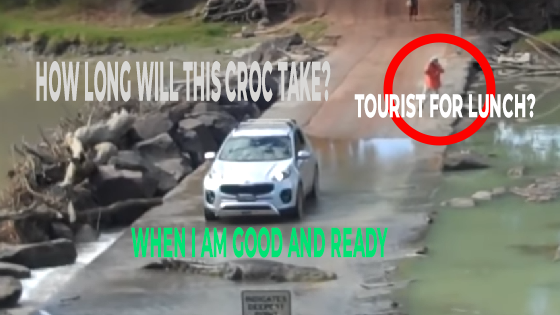 Croc-crossing-Cahill-Crossing